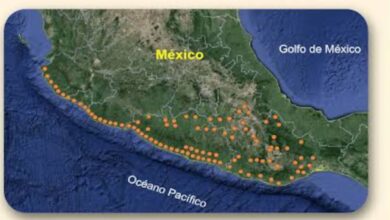 Fuerte enjambre sísmico sacude el sur de México; reportan sismo de magnitud 7.4 y alerta preventiva por tsunami