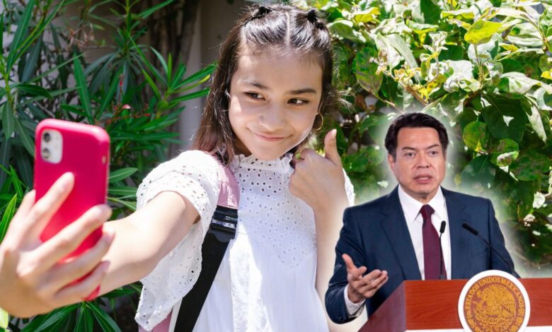 México prepara reglas para celulares en escuelas, pero antes la SEP consultará a un millón de maestros 1 Maestros analizan el uso de celulares en las escuelas de México