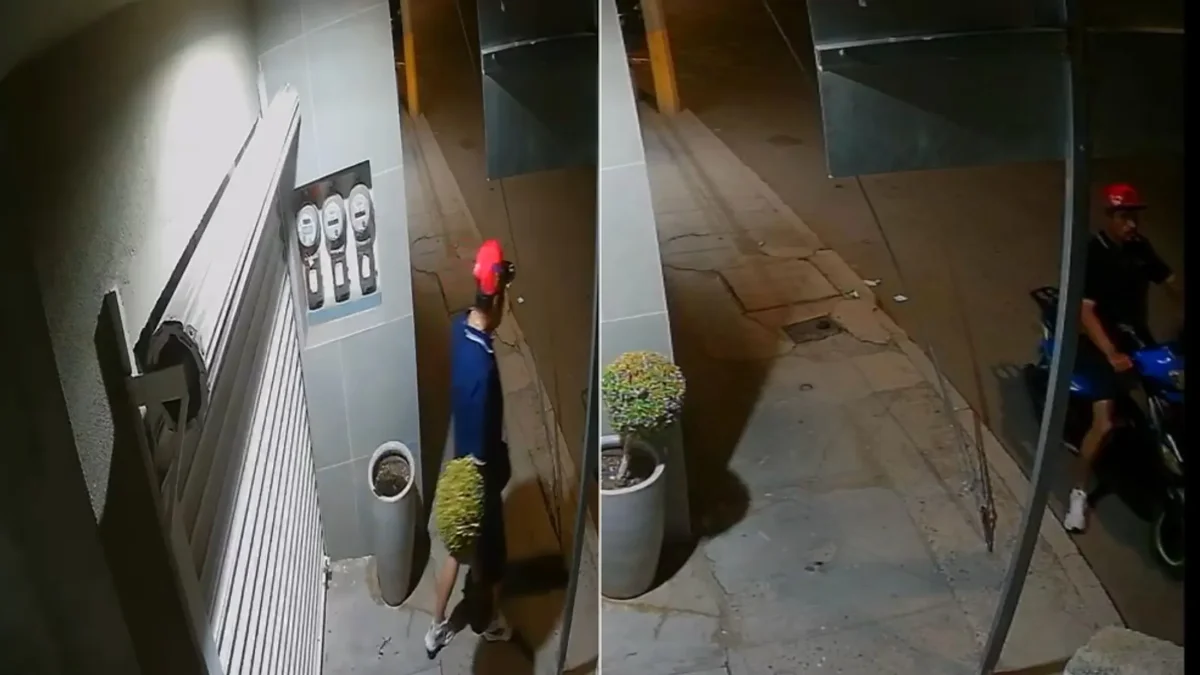 Sujeto captado por una cámara cuando presuntamente roba una maceta en Las Misiones