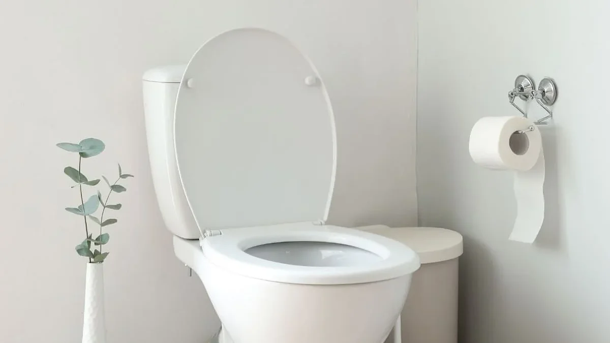 Tapa del inodoro cerrada como medida de higiene en el baño