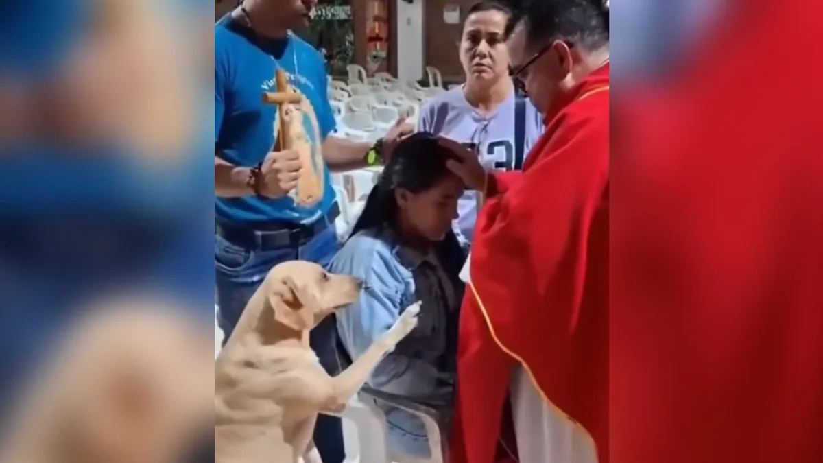 Perro labrador extiende su pata hacia un sacerdote durante una misa en Colombia