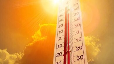 Reportan 19 muertes por ola de calor extremo en Mexicali 2 Vista de Mexicali durante una jornada de temperaturas extremas por la ola de calor
