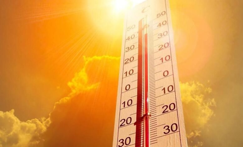 Reportan 19 muertes por ola de calor extremo en Mexicali 1 Vista de Mexicali durante una jornada de temperaturas extremas por la ola de calor