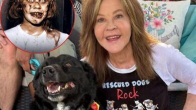 Linda Blair, estrella de “El Exorcista”, es investigada por presunta operación irregular con perros 4