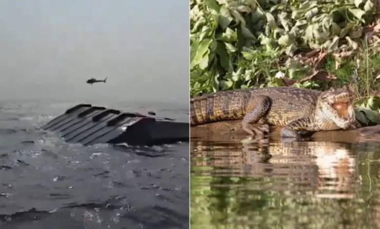 Se hunde barco con casi 100 personas en aguas repletas de cocodrilos 1 Operativo de búsqueda tras el hundimiento de un barco en el lago Kariba, Zimbabue