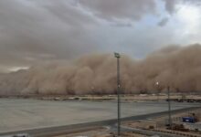 Tormenta de arena, fuertes vientos y lluvia cubren el sur de Chihuahua 10