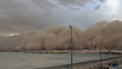 Tormenta de arena, fuertes vientos y lluvia cubren el sur de Chihuahua 3