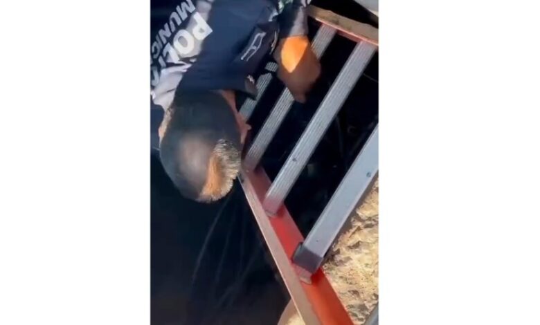 Rescatan municipales a perro en alcantarilla de la colonia Emiliano Zapata 1