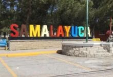 Abren convocatoria para la Feria de las Hortalizas de Samalayuca 5