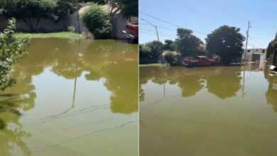 Trabajos de la JMAS podrían provocar brote de aguas negras al suroriente 2