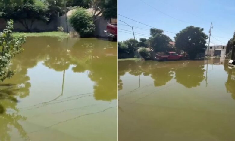 Trabajos de la JMAS podrían provocar brote de aguas negras al suroriente 1