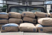 Todo un éxito; Programa de materiales regresará a Ciudad Juárez 5