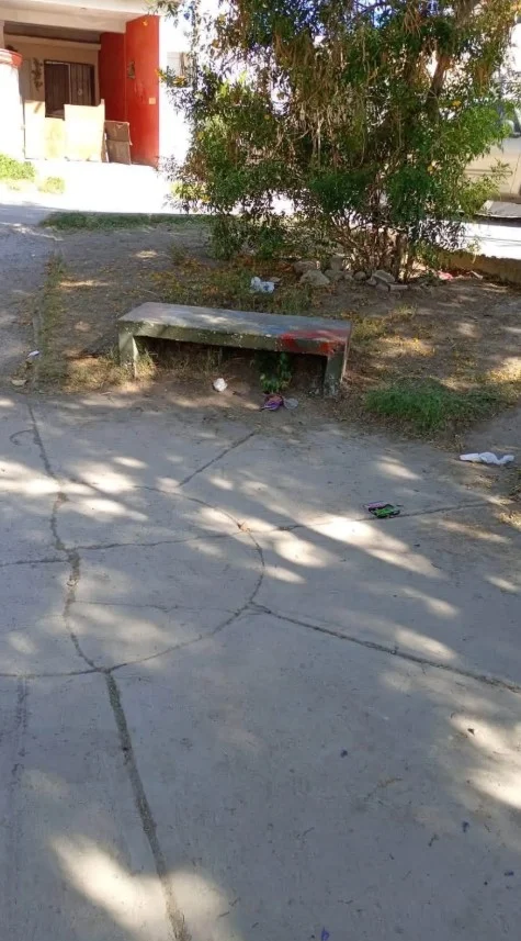 Adolescente de 17 años habría 4puñ4l4d0 a su recién nacid0; fue hallado bajo una banca 2