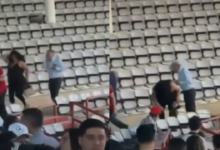 Abejas atacan a 19 aficionados durante juegos en el Gran Estadio Parral 10 Lo que era una tarde de béisbol terminó en caos... 19 aficionados fueron atacados por abejas