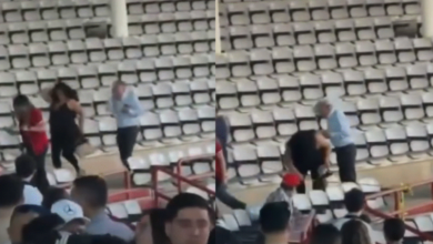 Abejas atacan a 19 aficionados durante juegos en el Gran Estadio Parral 2 Lo que era una tarde de béisbol terminó en caos... 19 aficionados fueron atacados por abejas
