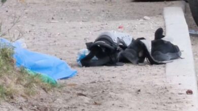 ¡MURIÓ MIENTRAS TRABAJABA! Repartidor se desvanese y muere repentinamente en Ciudad Juárez; esto pasó 3