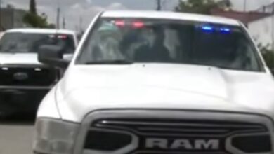 Aseguran un tigre, un lagarto y una Hummer durante cateo en Ciudad Juárez 3