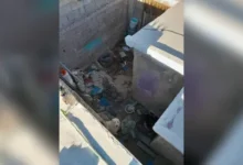 Multas de más de 20 mil pesos para quienes mantengan patios sucios 5