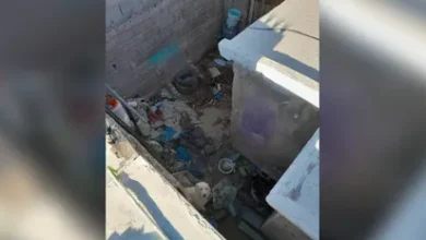 Multas de más de 20 mil pesos para quienes mantengan patios sucios 4