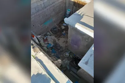 Multas de más de 20 mil pesos para quienes mantengan patios sucios 1