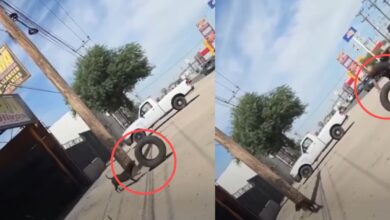 Perrito se gana su comida ayudando a un hombre en el taller donde trabaja y se vuelve viral 1 Perrito trasladando una llanta para ayudar a un hombre en un taller mecánico