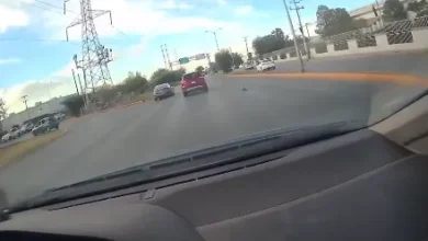 Las imágenes muestran al felino rodando sobre el pavimento cerca de una camioneta en movimiento, pero no permiten confirmar cómo ocurrió el hecho.
