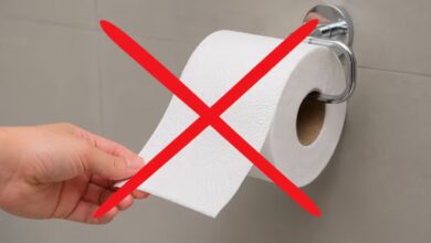¿Adiós al papel higiénico? Washlets ganan espacio en baños modernos 2