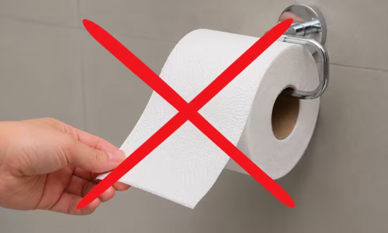 ¿Adiós al papel higiénico? Washlets ganan espacio en baños modernos 1