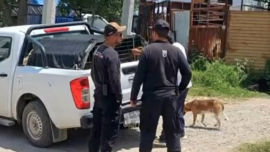 Mujer resulta gravemente her1d4 al proteger a sus nietas del ataque de un perro 3 Personal de Protección Animal atiende el caso de un perro involucrado en un ataque contra una mujer en Zapopan