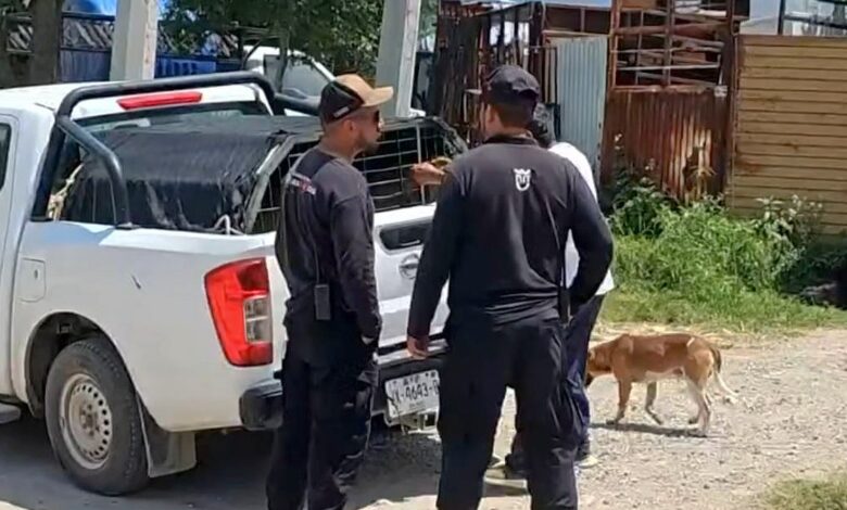 Mujer resulta gravemente her1d4 al proteger a sus nietas del ataque de un perro 1 Personal de Protección Animal atiende el caso de un perro involucrado en un ataque contra una mujer en Zapopan