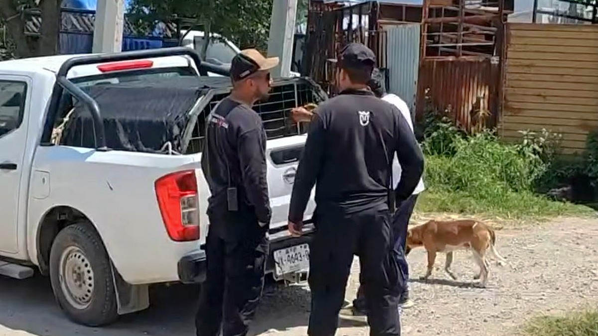 Personal de Protección Animal atiende el caso de un perro involucrado en un ataque contra una mujer en Zapopan