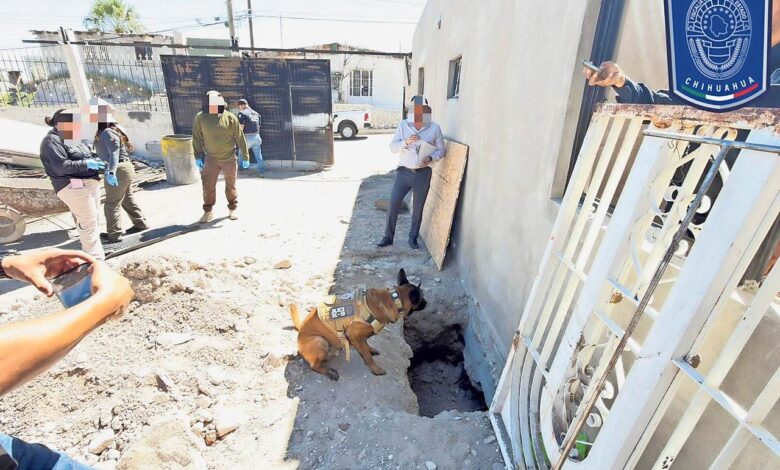 Hallan fosa múltiple con tres osamentas en la colonia López Mateos 1 Vivienda de la colonia Adolfo López Mateos donde fue localizada una fosa múltiple