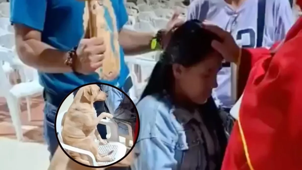 Perrito Simón levanta una pata durante una oración dentro de una iglesia de Villavicencio