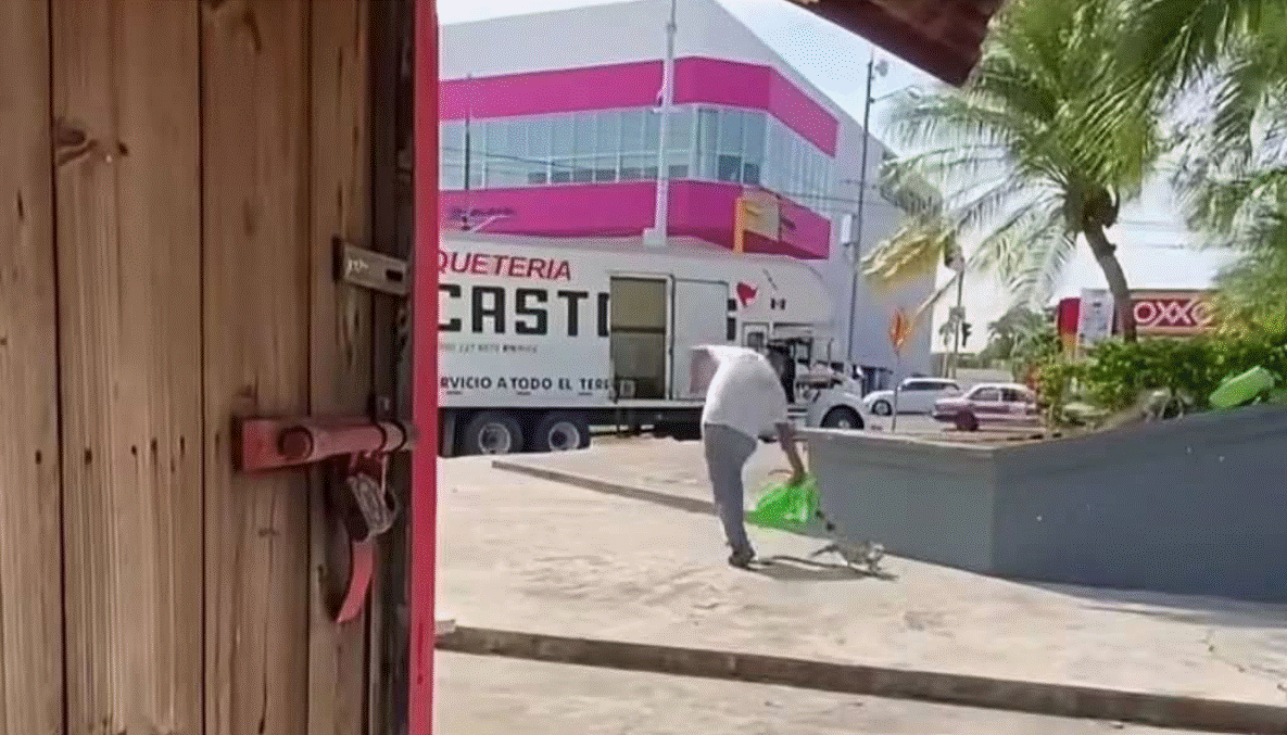 Repartidor de Castores secu3stra una iguana y exigen su busqueda 2 La asociación Regalemos un Paraizoo pidió a la empresa de paquetería determinar responsabilidades y capacitar a su personal en la protección de fauna silvestre.