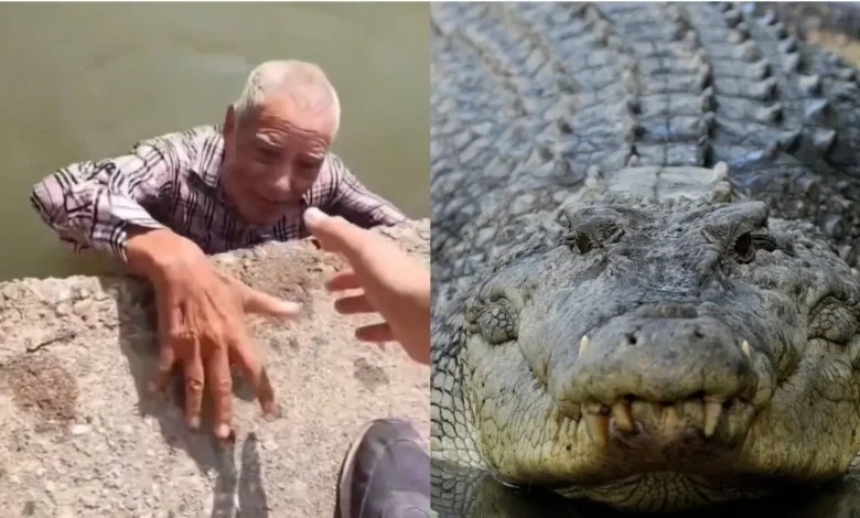 Abuelito de 87 años se mete a nadar a canal con cocodrilos; así fue rescatado 1 Adulto mayor rescatado del Canal de la Cortadura tras ser alertado por la presencia de un cocodrilo
