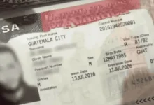 Solicitante revisa documentos para demostrar arraigo durante el trámite de visa estadounidense