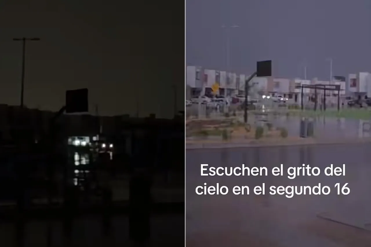 Un video difundido en TikTok registra un ruido que usuarios compararon con un grito; el material, por sí solo, no permite determinar su origen.