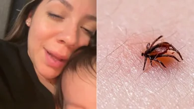 Madre halla garrapata en cuello de su hija y alerta en redes 2 La menor fue llevada a valoración médica; su familia deberá vigilar la posible aparición de síntomas durante los próximos días.