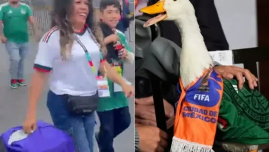 Acusan a "Dueña de Merlín" de hacer bruj3rí4 45 Usuarios detectaron una figura asociada con corrientes esotéricas en un video del pato viral y comenzaron las especulaciones.