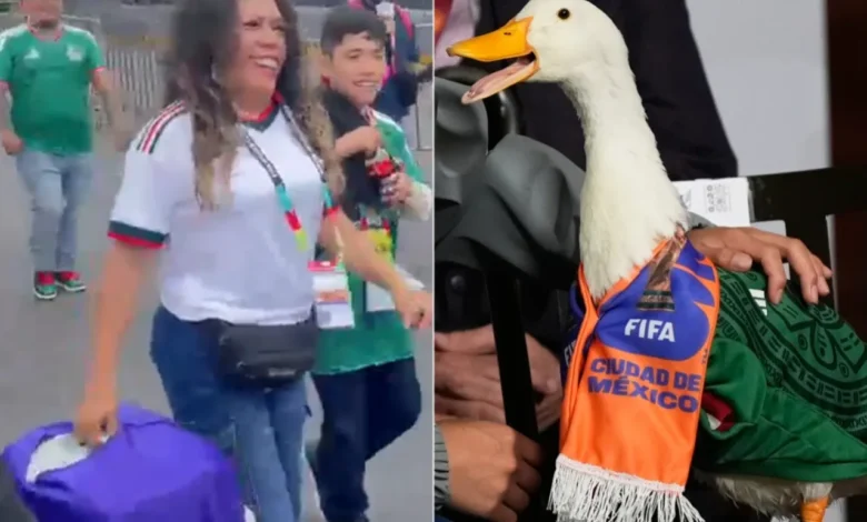Usuarios detectaron una figura asociada con corrientes esotéricas en un video del pato viral y comenzaron las especulaciones.