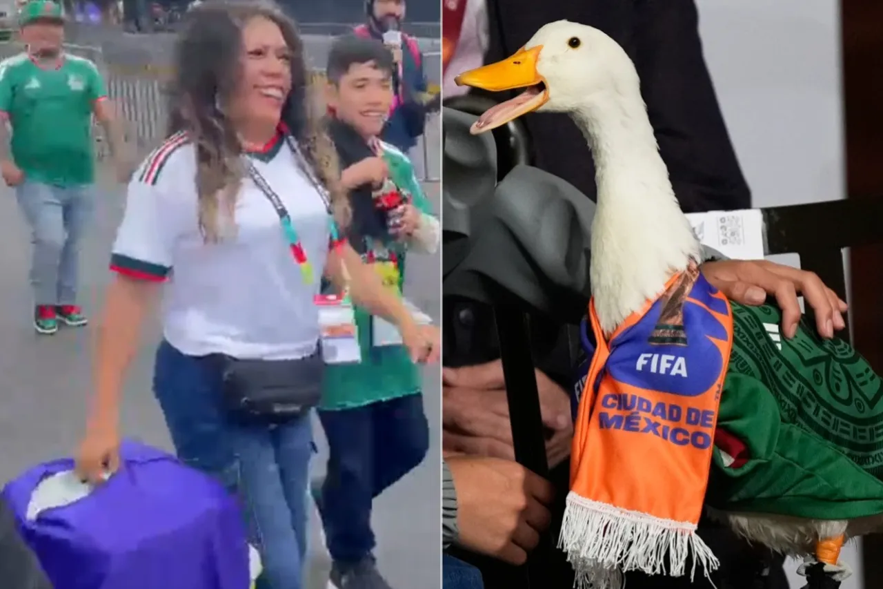 Usuarios detectaron una figura asociada con corrientes esotéricas en un video del pato viral y comenzaron las especulaciones.