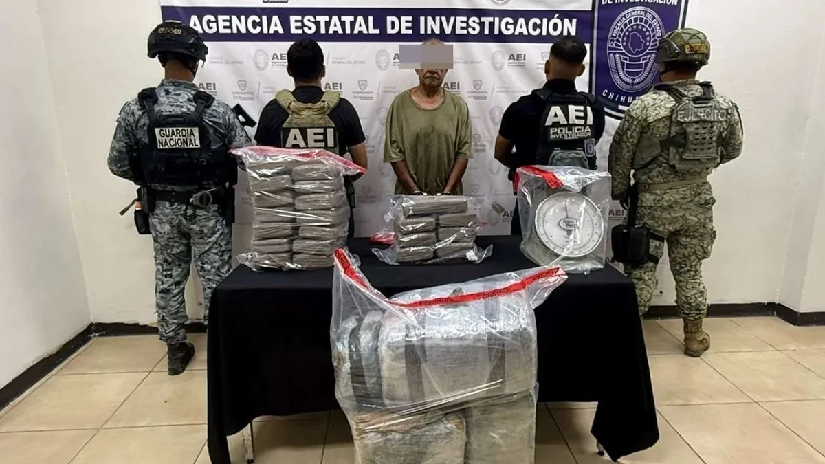 Paquetes con 53 kilos de marihuana asegurados durante un cateo en Ciudad Juárez
