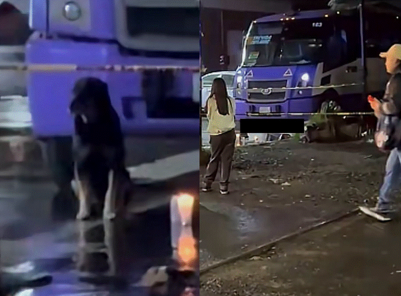 El adulto mayor fue embestido por una unidad de transporte público en Naucalpan; el conductor presuntamente huyó y autoridades revisan cámaras de vigilancia.