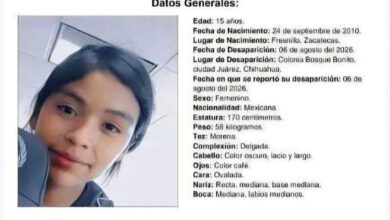 Piden ayuda para localizar a Perla Elizabeth, de 15 años 2 Pesquisa para localizar a Perla Elizabeth Vázquez Pinales, de 15 años