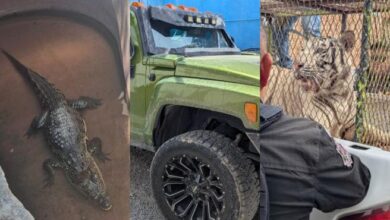 Operativo de autoridades en un autolavado de la colonia Ampliación Fronteriza en Ciudad Juárez