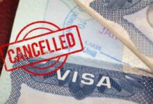 Medida sobre visas preocupa por posible aplicación 12 Revisión de visas y documentos en un cruce fronterizo hacia Estados Unidos