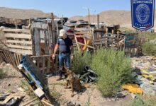Operativo de rastreo en un predio cercano al Periférico Camino Real de Ciudad Juárez