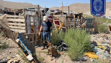 Localizan restos óse0s durante rastreo en el Camino Real 3 Operativo de rastreo en un predio cercano al Periférico Camino Real de Ciudad Juárez