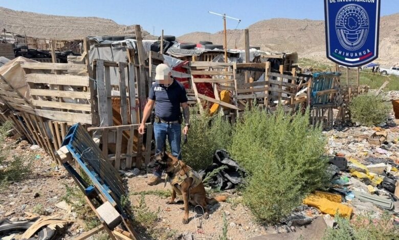 Localizan restos óse0s durante rastreo en el Camino Real 1 Operativo de rastreo en un predio cercano al Periférico Camino Real de Ciudad Juárez
