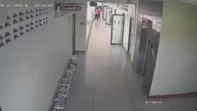 El reporte señala que el adolescente también habría matado a sus abuelos antes de atacar una escuela de Nonthaburi; más de 30 personas resultaron heridas.